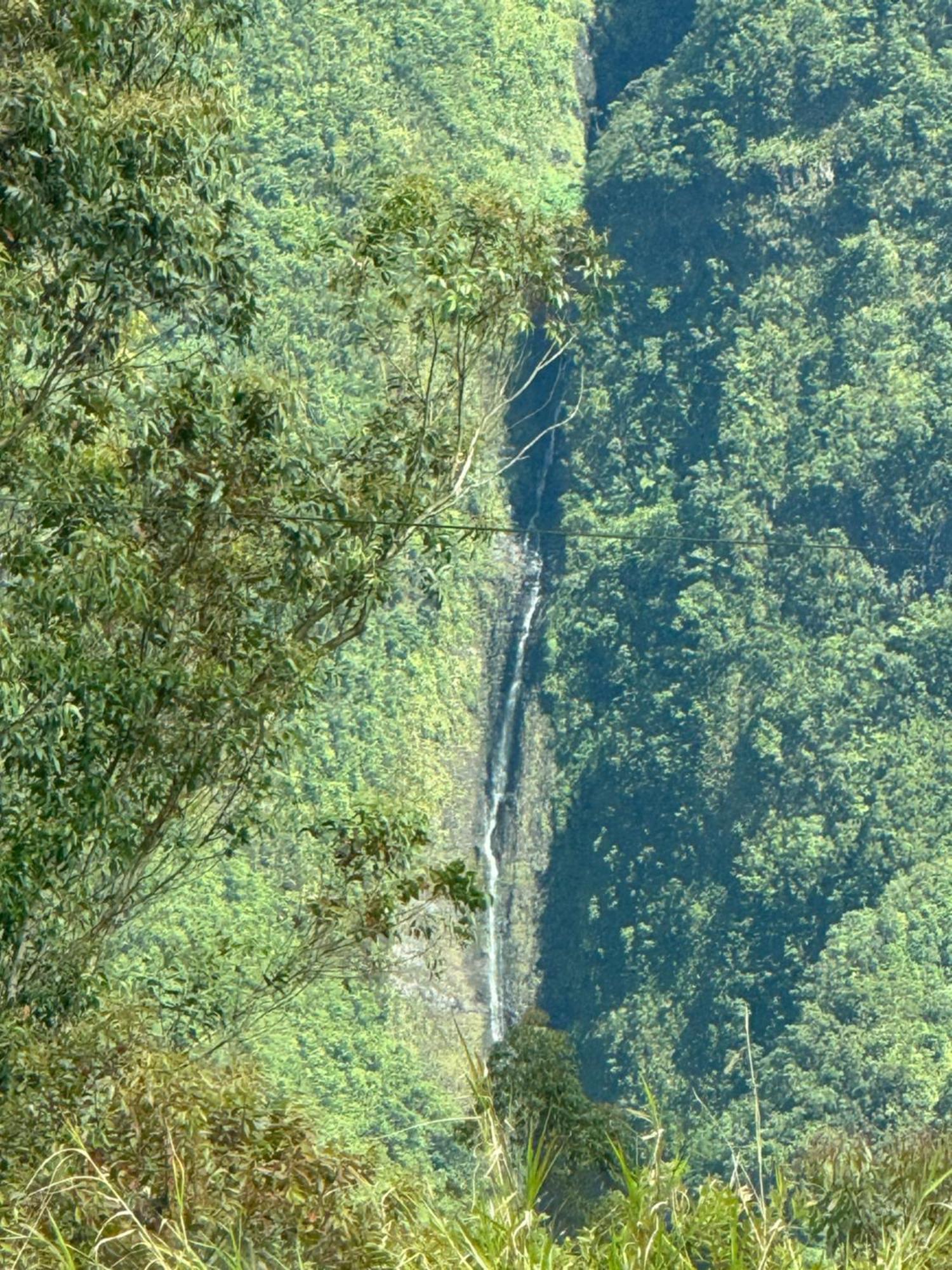 Le Studio Leva La Plaine-des-Palmistes Esterno foto